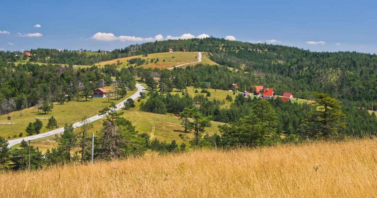 Pošumljeni plato Divčibara na planini Maljen sa livadama i borovom šumom