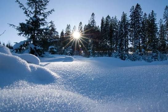 Sunce iznad zavejane četinarske šume na Divčibarama