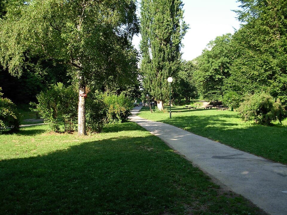 Šetalište kroz zelenilo izletišta Stražilovo na Fruškoj gori