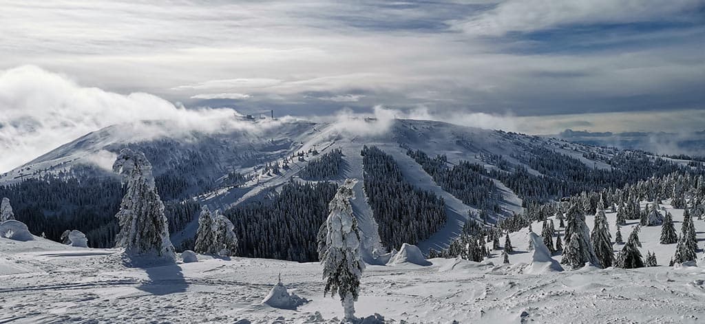 Zimska panorama Kopaonika sa zasneženim padinama i četinarskom šumom