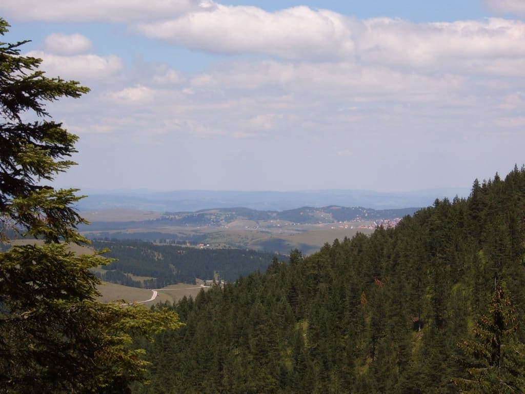 Pogled sa Tornika preko borovih šuma na zlatiborsku visoravan